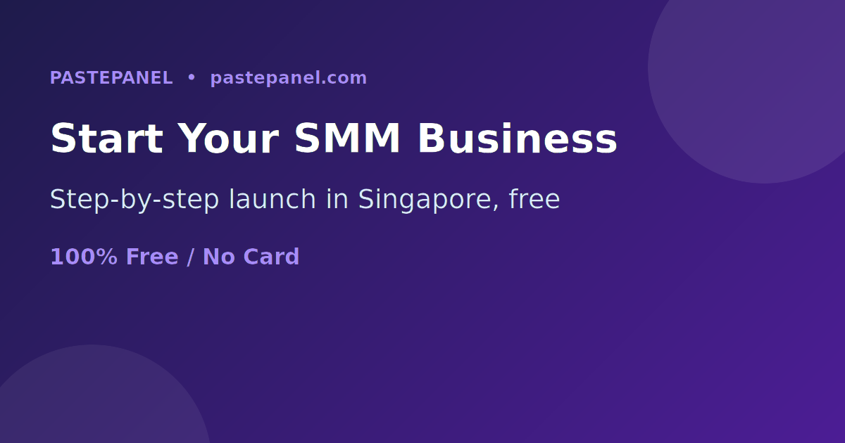 Step by step guide to starting your own SMM panel business in Singapore